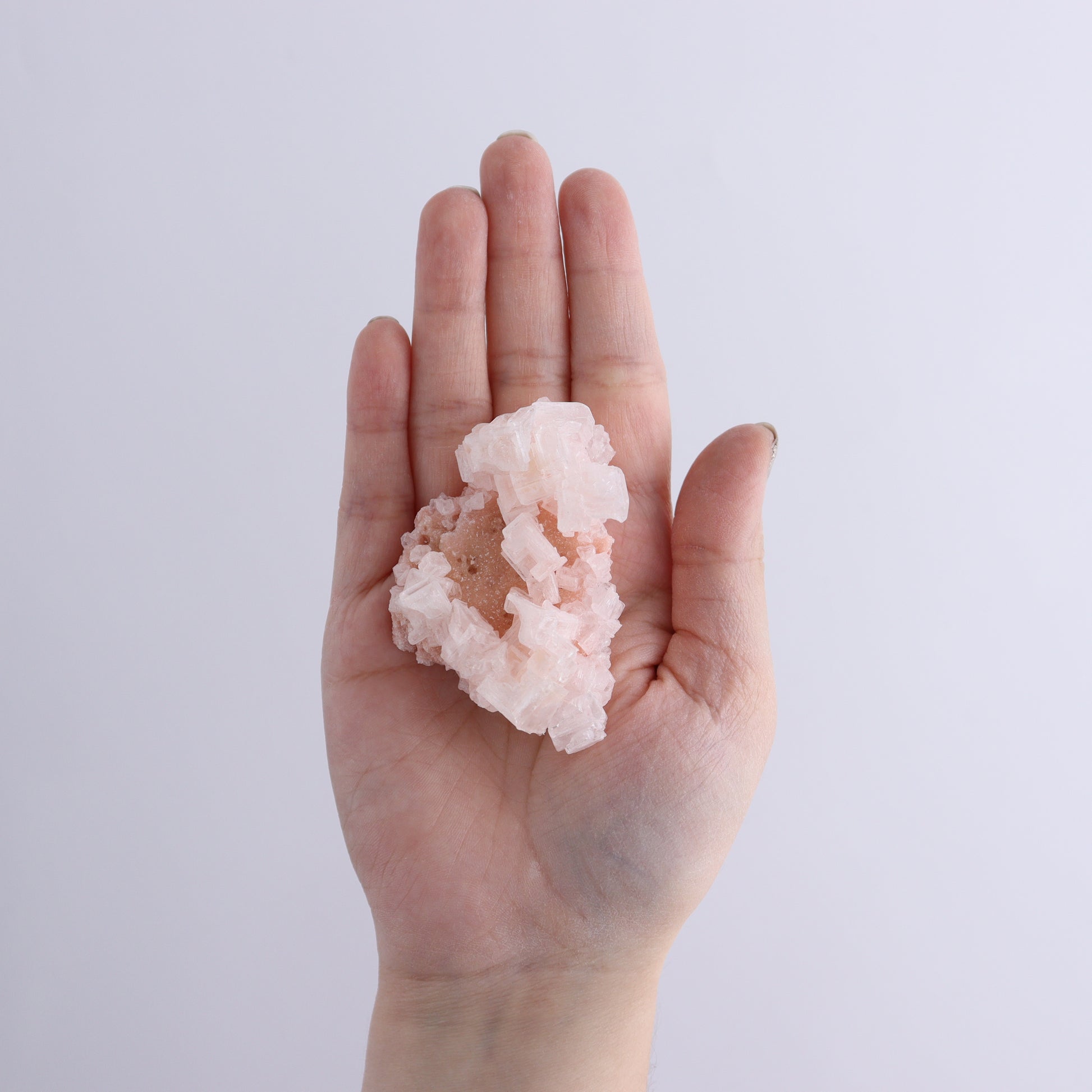 Searles Lake Halite Flat of 6 - Expert Wholesale and Supplier of Wholesale Crystals & Bulk Gemstones, ["Flats","Halite","United States"]