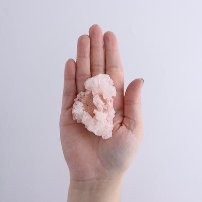 Searles Lake Halite Flat of 6 - Expert Wholesale and Supplier of Wholesale Crystals & Bulk Gemstones, ["Flats","Halite","United States"]