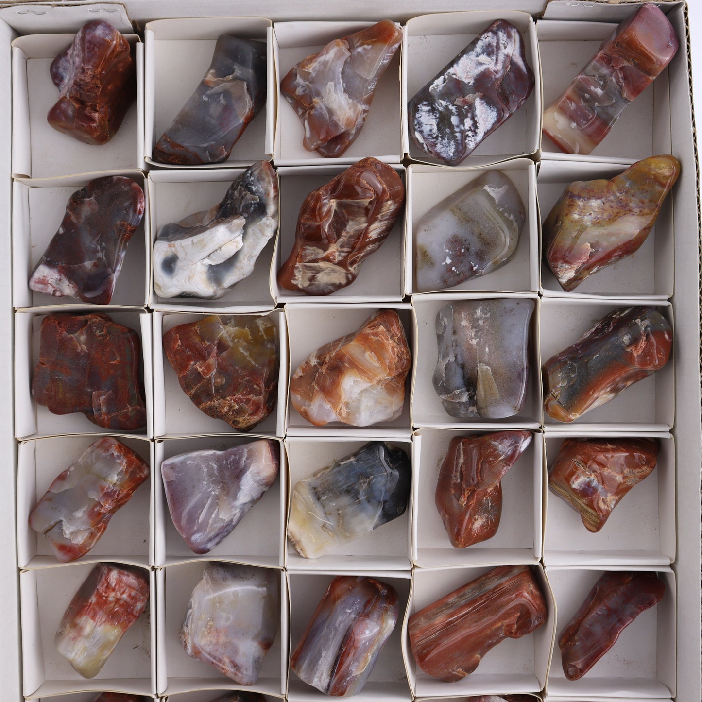 Arizona Petrified Wood Set of 35 - Expert Wholesale and Supplier of Wholesale Crystals & Bulk Gemstones, ["Arizona Petrified Wood","Freeform","Freeforms","Petrified Wood","United States"]