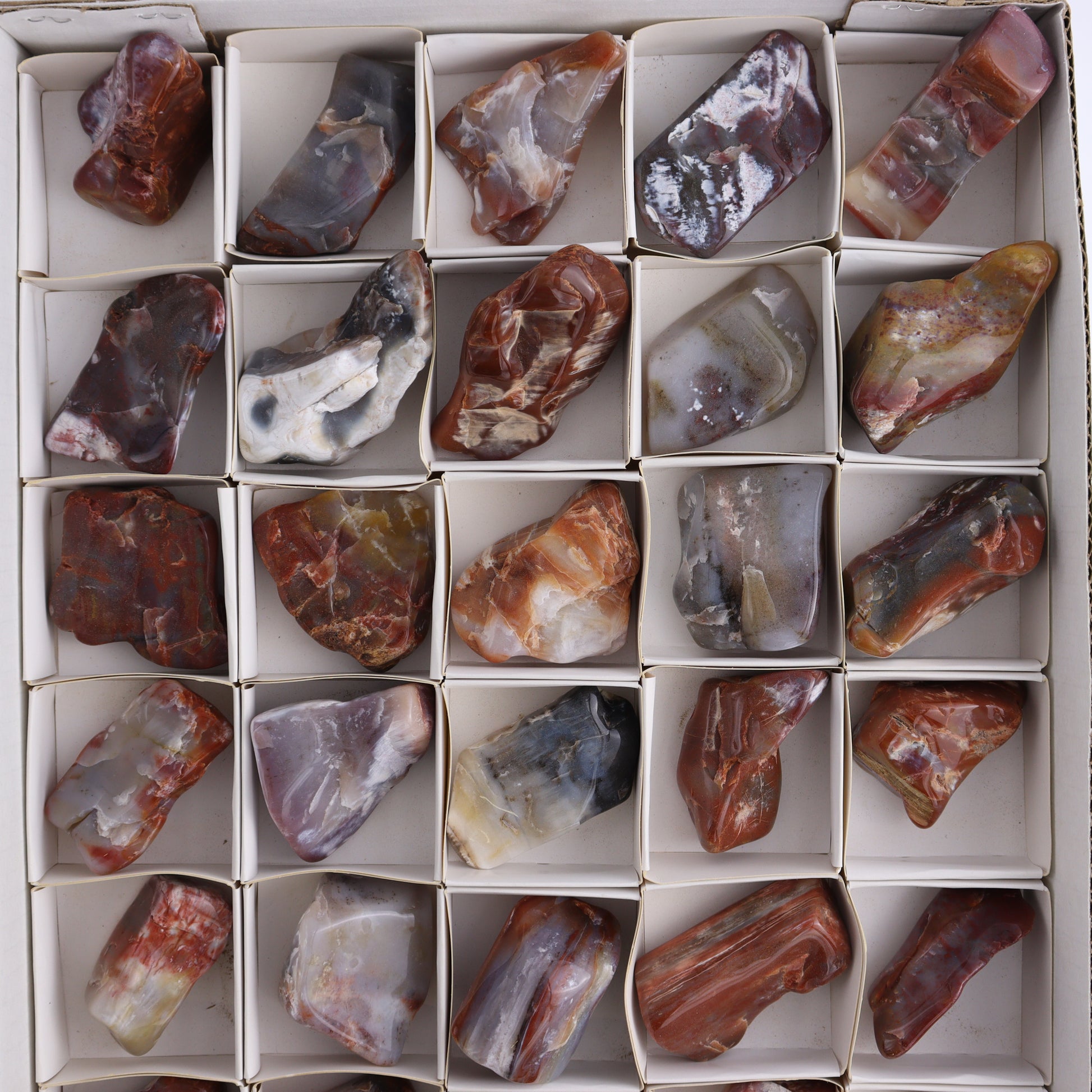 Arizona Petrified Wood Set of 35 - Expert Wholesale and Supplier of Wholesale Crystals & Bulk Gemstones, ["Arizona Petrified Wood","Freeform","Freeforms","Petrified Wood","United States"]