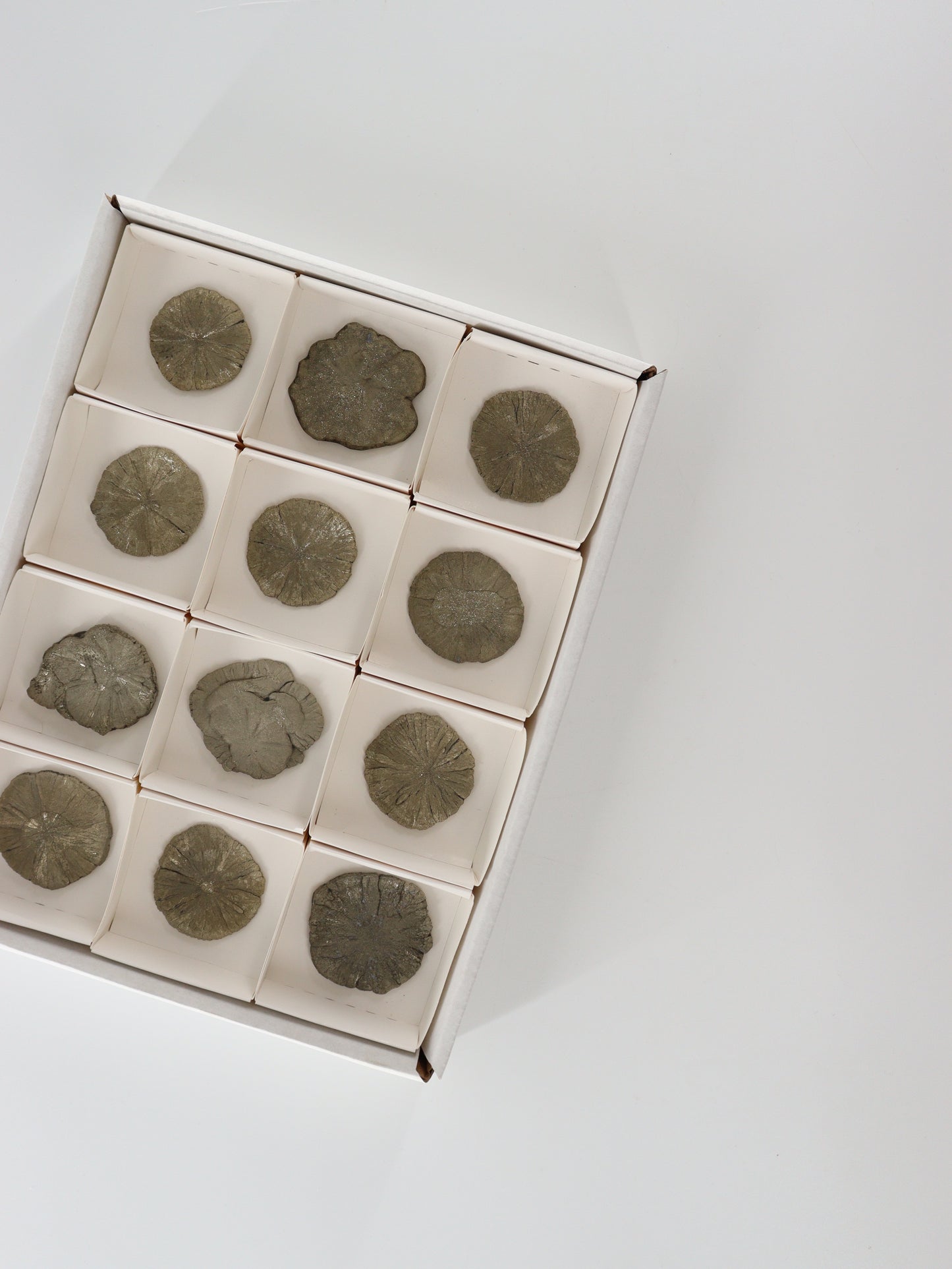 Pyrite Slices and Slabs Set of 12 - Expert Wholesale and Supplier of Wholesale Crystals & Bulk Gemstones, []