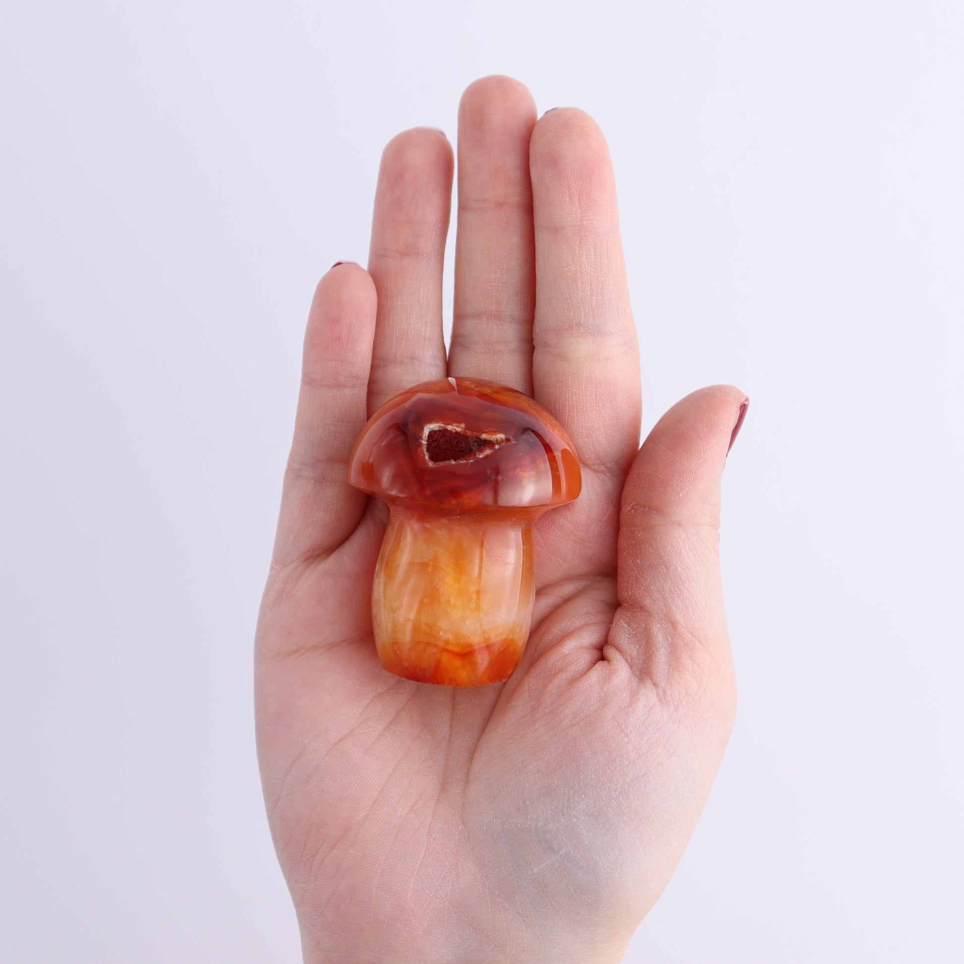 Carnelian Mushrooms Set of 9 - Expert Wholesale and Supplier of Wholesale Crystals & Bulk Gemstones, ["carnelian","Madagascar","Mushrooms"]