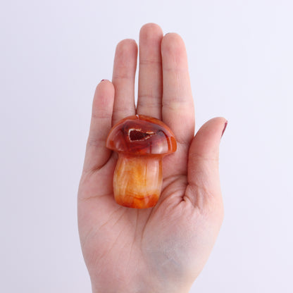 Carnelian Mushrooms Set of 9 - Expert Wholesale and Supplier of Wholesale Crystals & Bulk Gemstones, ["carnelian","Madagascar","Mushrooms"]
