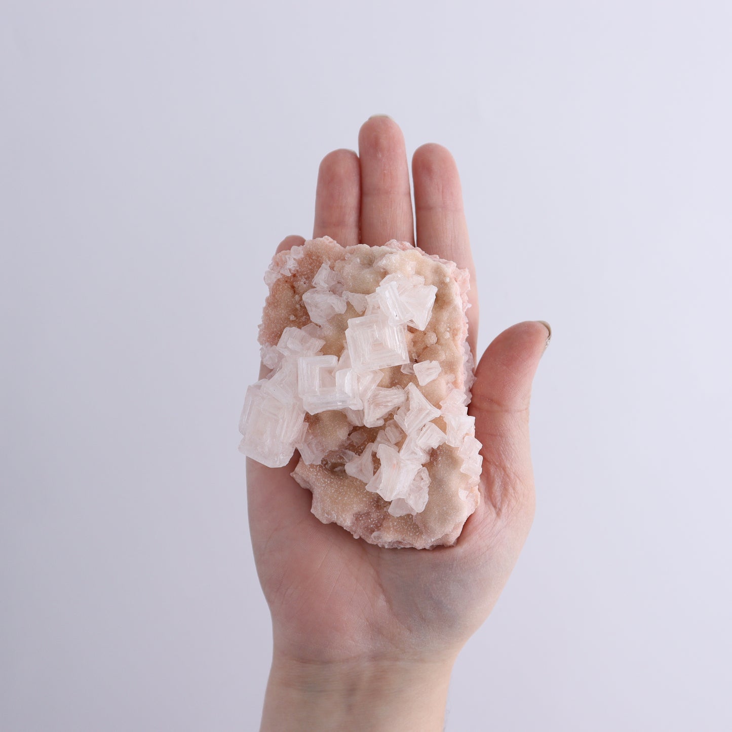 Searles Lake Halite Flat of 6 - Expert Wholesale and Supplier of Wholesale Crystals & Bulk Gemstones, ["Flats","Halite","United States"]