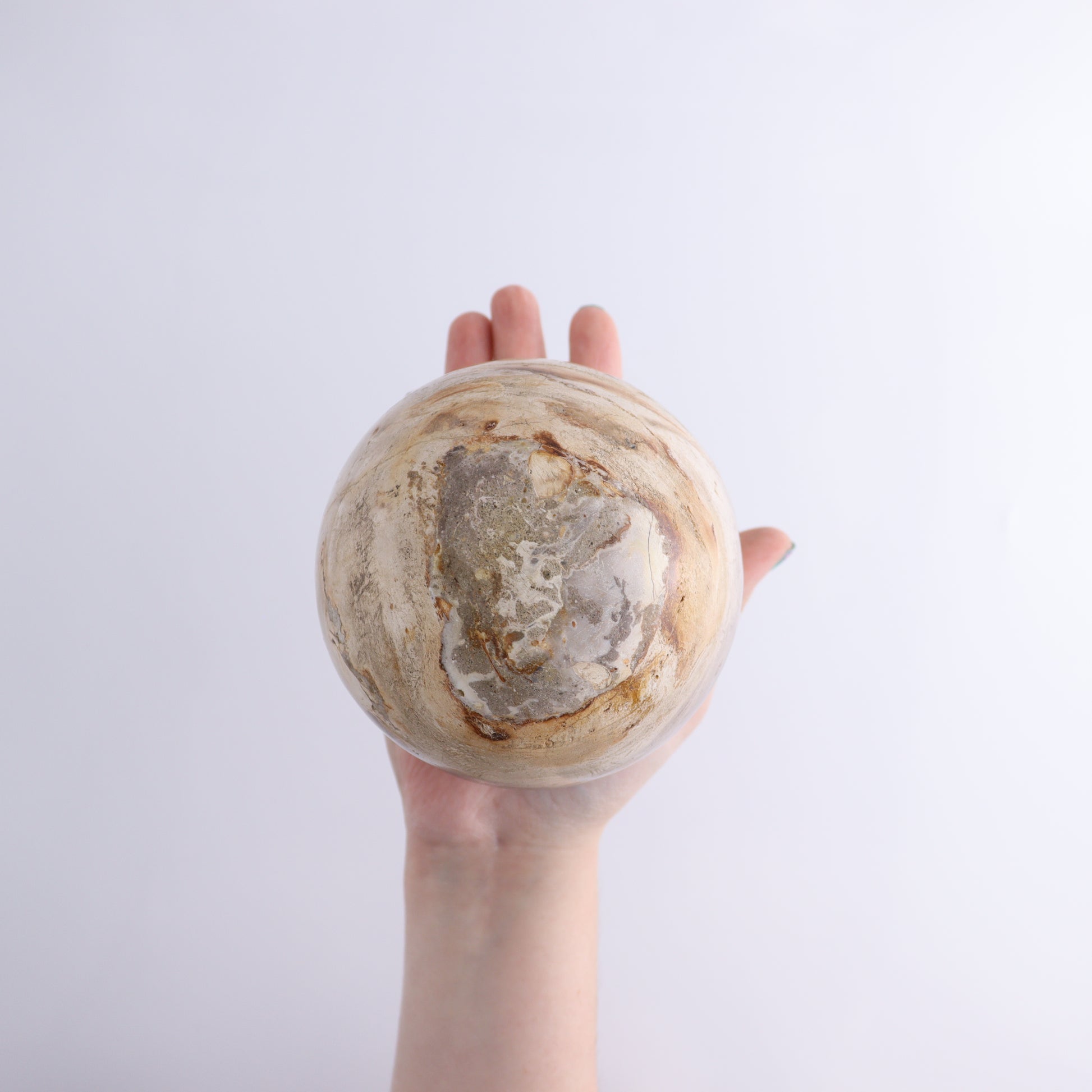 Petrified Wood Spheres Set of 3 - Expert Wholesale and Supplier of Wholesale Crystals & Bulk Gemstones, ["Indonesia","Petrified Wood","Spheres"]