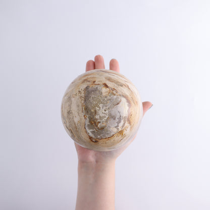 Petrified Wood Spheres Set of 3 - Expert Wholesale and Supplier of Wholesale Crystals & Bulk Gemstones, ["Indonesia","Petrified Wood","Spheres"]