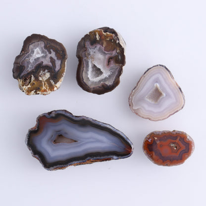 Coyamito Agate Geodes from Mexico Set of 9 - Expert Wholesale and Supplier of Wholesale Crystals & Bulk Gemstones, ["Agate","Coyamito Agate","Geodes","Mexico"]