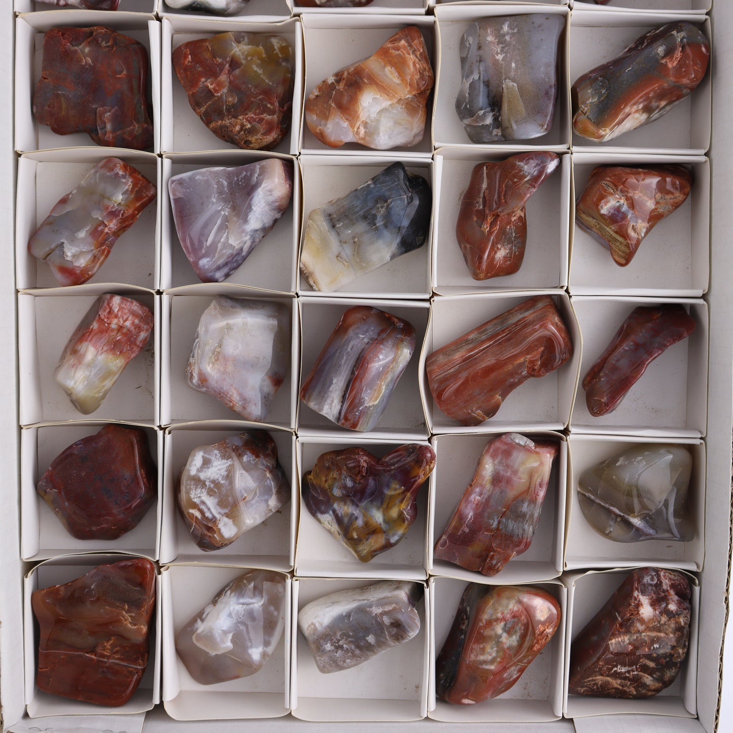 Arizona Petrified Wood Set of 35 - Expert Wholesale and Supplier of Wholesale Crystals & Bulk Gemstones, ["Arizona Petrified Wood","Freeform","Freeforms","Petrified Wood","United States"]