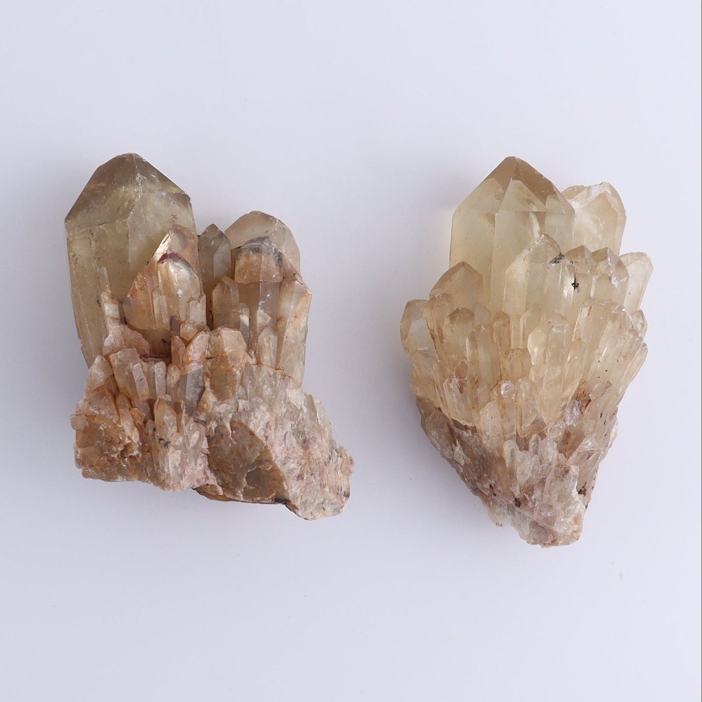 Congo Citrine Set of 6 - Expert Wholesale and Supplier of Wholesale Crystals & Bulk Gemstones, ["Citrine","Congo","Rough","Roughs"]
