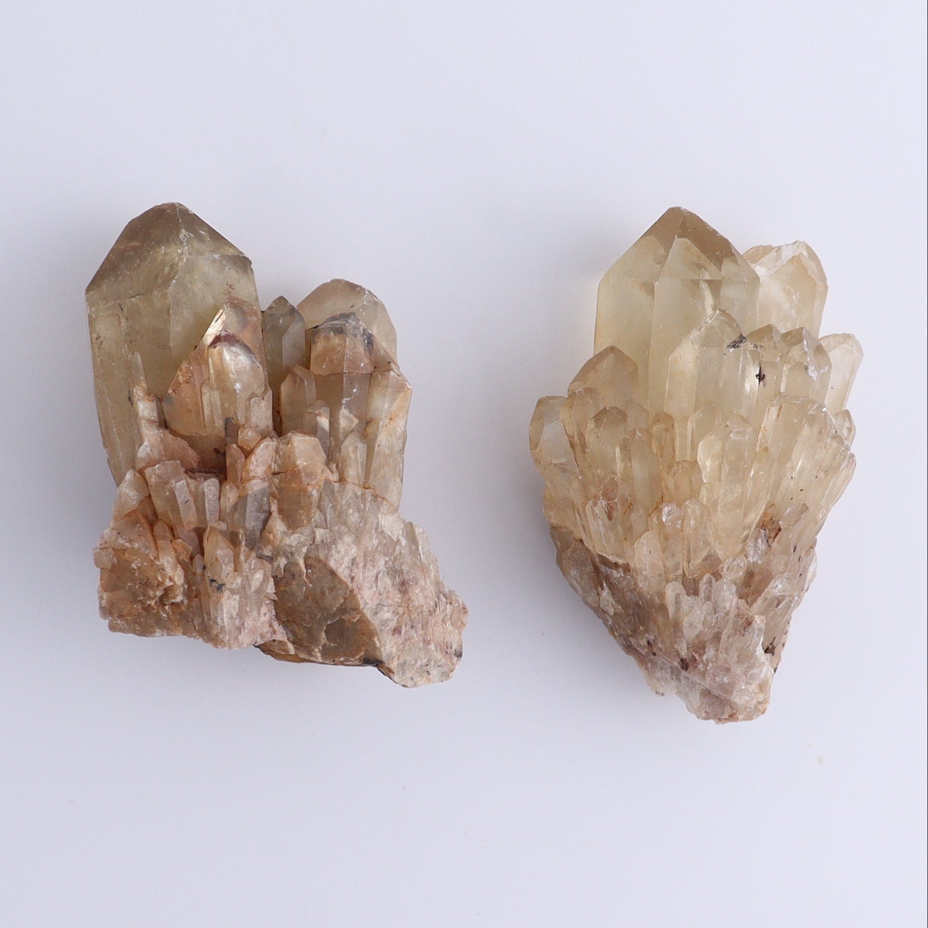 Congo Citrine Set of 6 - Expert Wholesale and Supplier of Wholesale Crystals & Bulk Gemstones, ["Citrine","Congo","Rough","Roughs"]