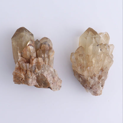 Congo Citrine Set of 6 - Expert Wholesale and Supplier of Wholesale Crystals & Bulk Gemstones, ["Citrine","Congo","Rough","Roughs"]