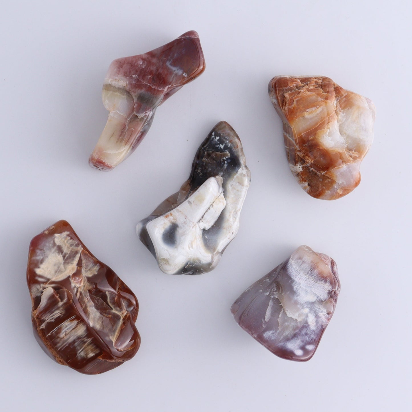 Arizona Petrified Wood Set of 35 - Expert Wholesale and Supplier of Wholesale Crystals & Bulk Gemstones, ["Arizona Petrified Wood","Freeform","Freeforms","Petrified Wood","United States"]