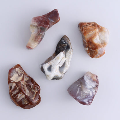 Arizona Petrified Wood Set of 35 - Expert Wholesale and Supplier of Wholesale Crystals & Bulk Gemstones, ["Arizona Petrified Wood","Freeform","Freeforms","Petrified Wood","United States"]