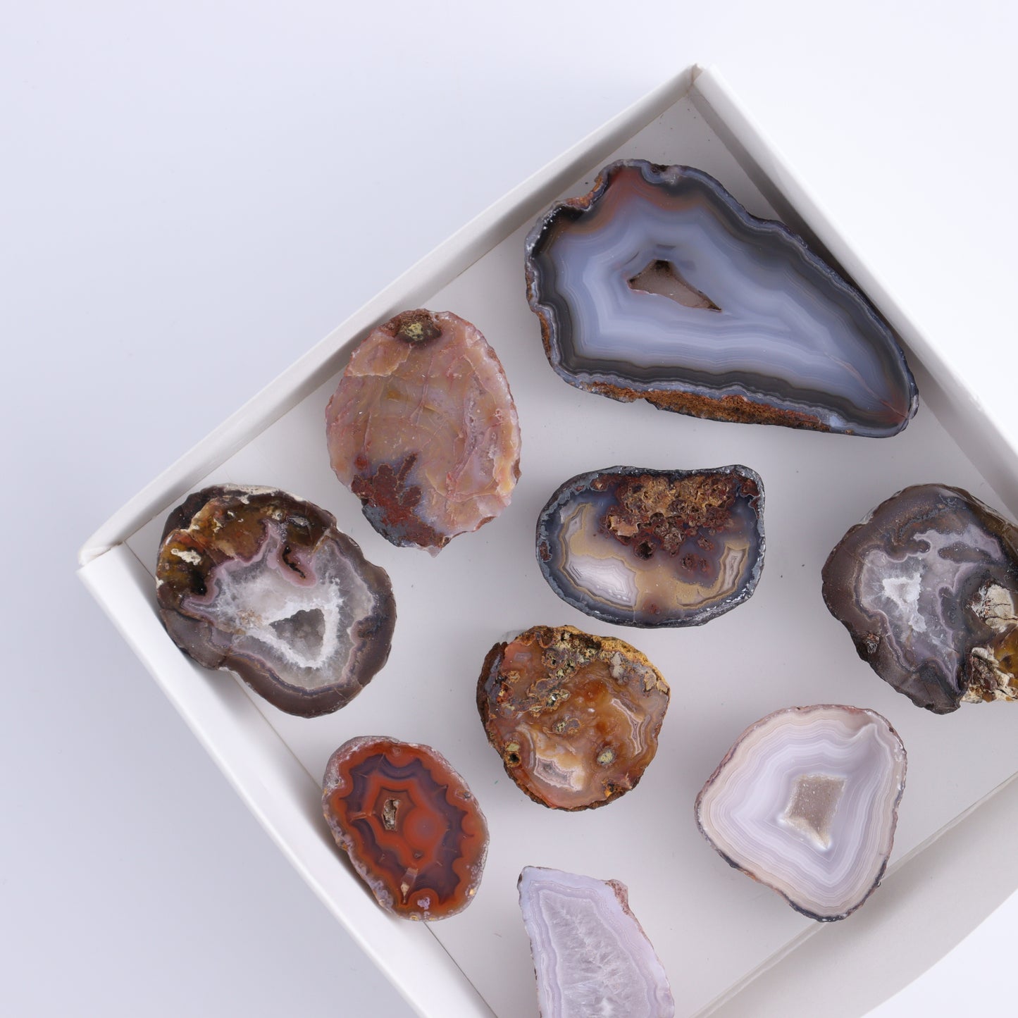 Coyamito Agate Geodes from Mexico Set of 9 - Expert Wholesale and Supplier of Wholesale Crystals & Bulk Gemstones, ["Agate","Coyamito Agate","Geodes","Mexico"]