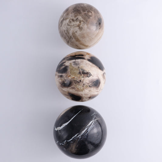 Petrified Wood Spheres Set of 3 - Expert Wholesale and Supplier of Wholesale Crystals & Bulk Gemstones, ["Indonesia","Petrified Wood","Spheres"]