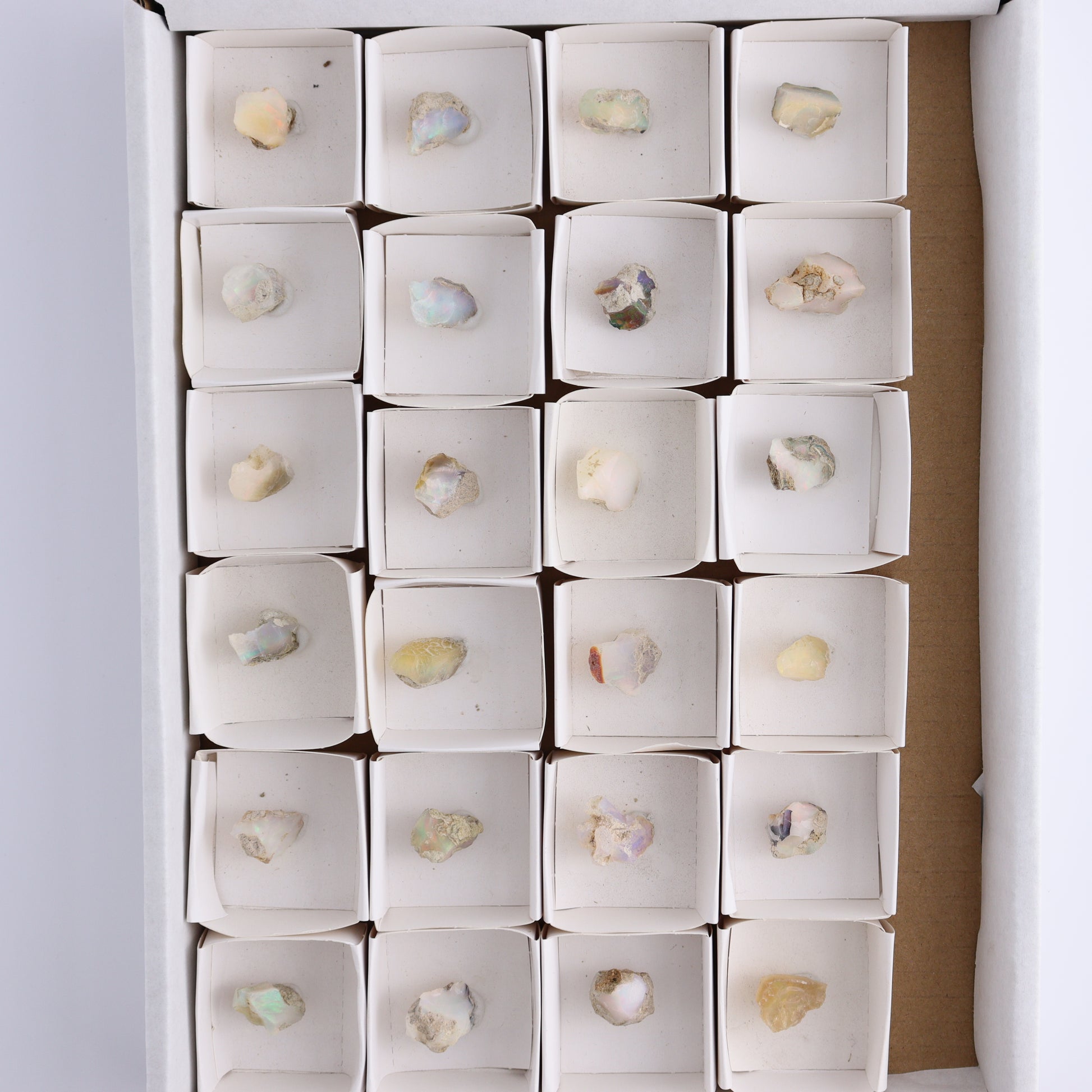 Ethiopian Opal Set of 24 - Expert Wholesale and Supplier of Wholesale Crystals & Bulk Gemstones, ["Ethiopia","ethiopian opal","Opal"]