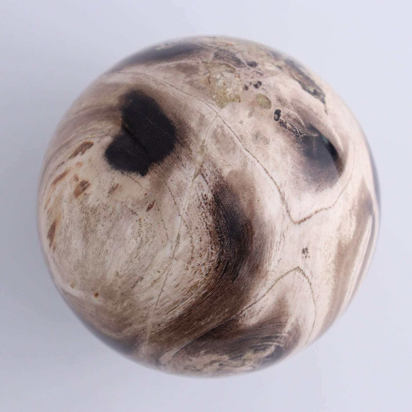 Petrified Wood Spheres Set of 3 - Expert Wholesale and Supplier of Wholesale Crystals & Bulk Gemstones, ["Indonesia","Petrified Wood","Spheres"]