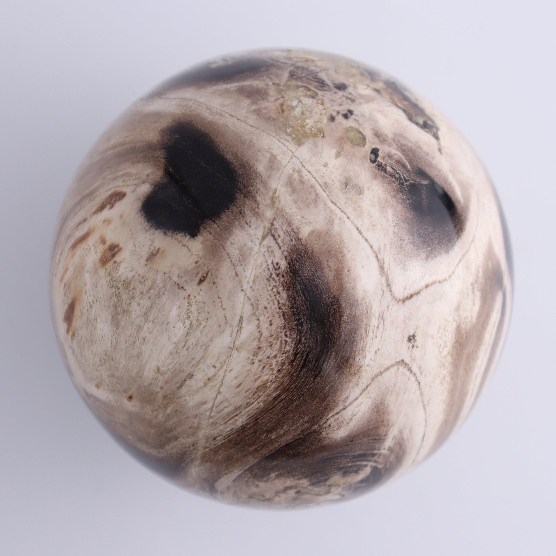 Petrified Wood Spheres Set of 3 - Expert Wholesale and Supplier of Wholesale Crystals & Bulk Gemstones, ["Indonesia","Petrified Wood","Spheres"]