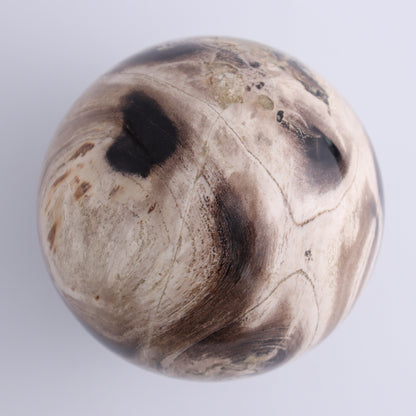 Petrified Wood Spheres Set of 3 - Expert Wholesale and Supplier of Wholesale Crystals & Bulk Gemstones, ["Indonesia","Petrified Wood","Spheres"]