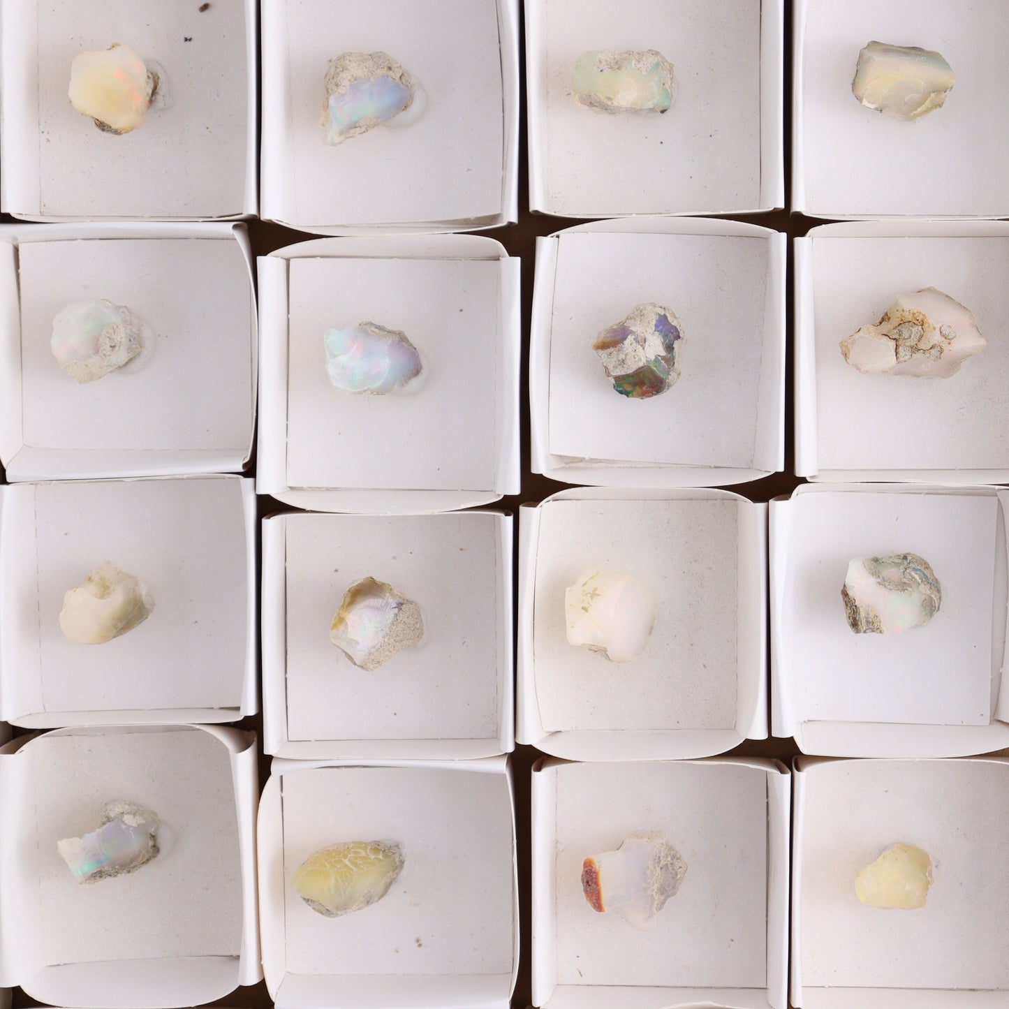 Ethiopian Opal Set of 24 - Expert Wholesale and Supplier of Wholesale Crystals & Bulk Gemstones, ["Ethiopia","ethiopian opal","Opal"]