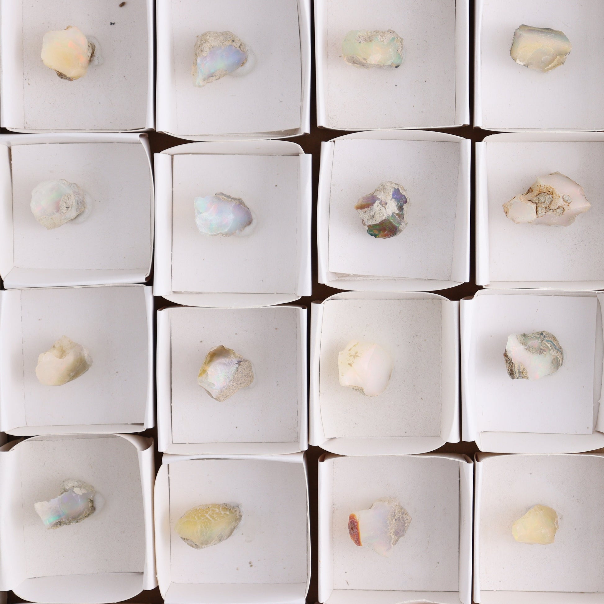 Ethiopian Opal Set of 24 - Expert Wholesale and Supplier of Wholesale Crystals & Bulk Gemstones, ["Ethiopia","ethiopian opal","Opal"]