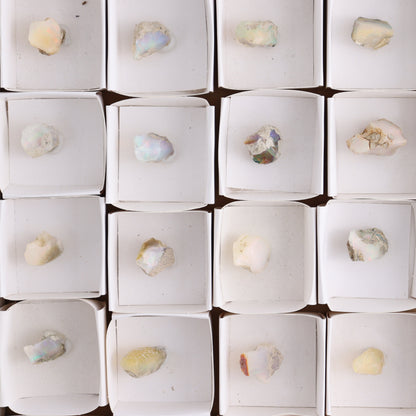 Ethiopian Opal Set of 24 - Expert Wholesale and Supplier of Wholesale Crystals & Bulk Gemstones, ["Ethiopia","ethiopian opal","Opal"]