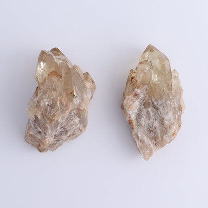 Congo Citrine Set of 6 - Expert Wholesale and Supplier of Wholesale Crystals & Bulk Gemstones, ["Citrine","Congo","Rough","Roughs"]