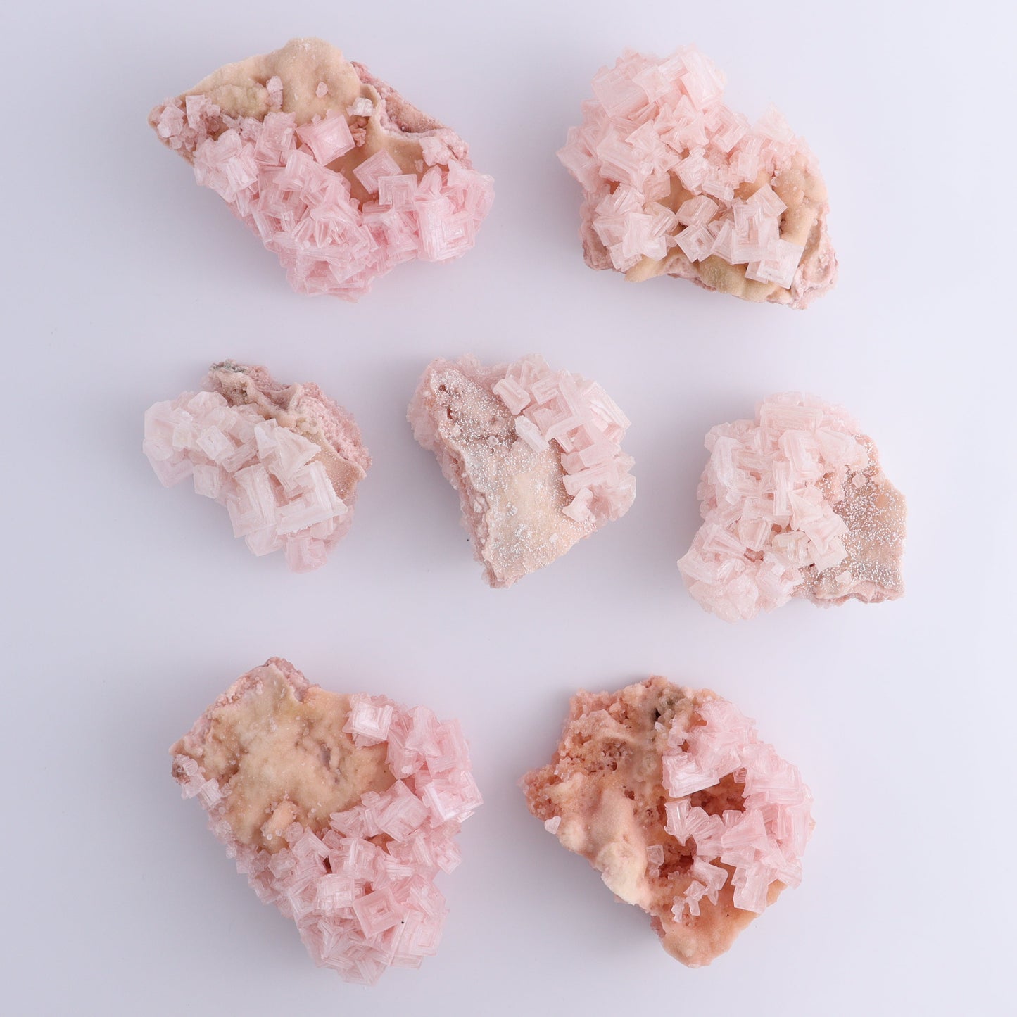 Halite and Halite on Trona from Owens Lake Set of 7 - Expert Wholesale and Supplier of Wholesale Crystals & Bulk Gemstones, ["California","Flats","Halite","halite on trona","Pink Halite","United States"]