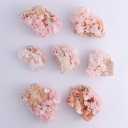 Halite and Halite on Trona from Owens Lake Set of 7 - Expert Wholesale and Supplier of Wholesale Crystals & Bulk Gemstones, ["California","Flats","Halite","halite on trona","Pink Halite","United States"]