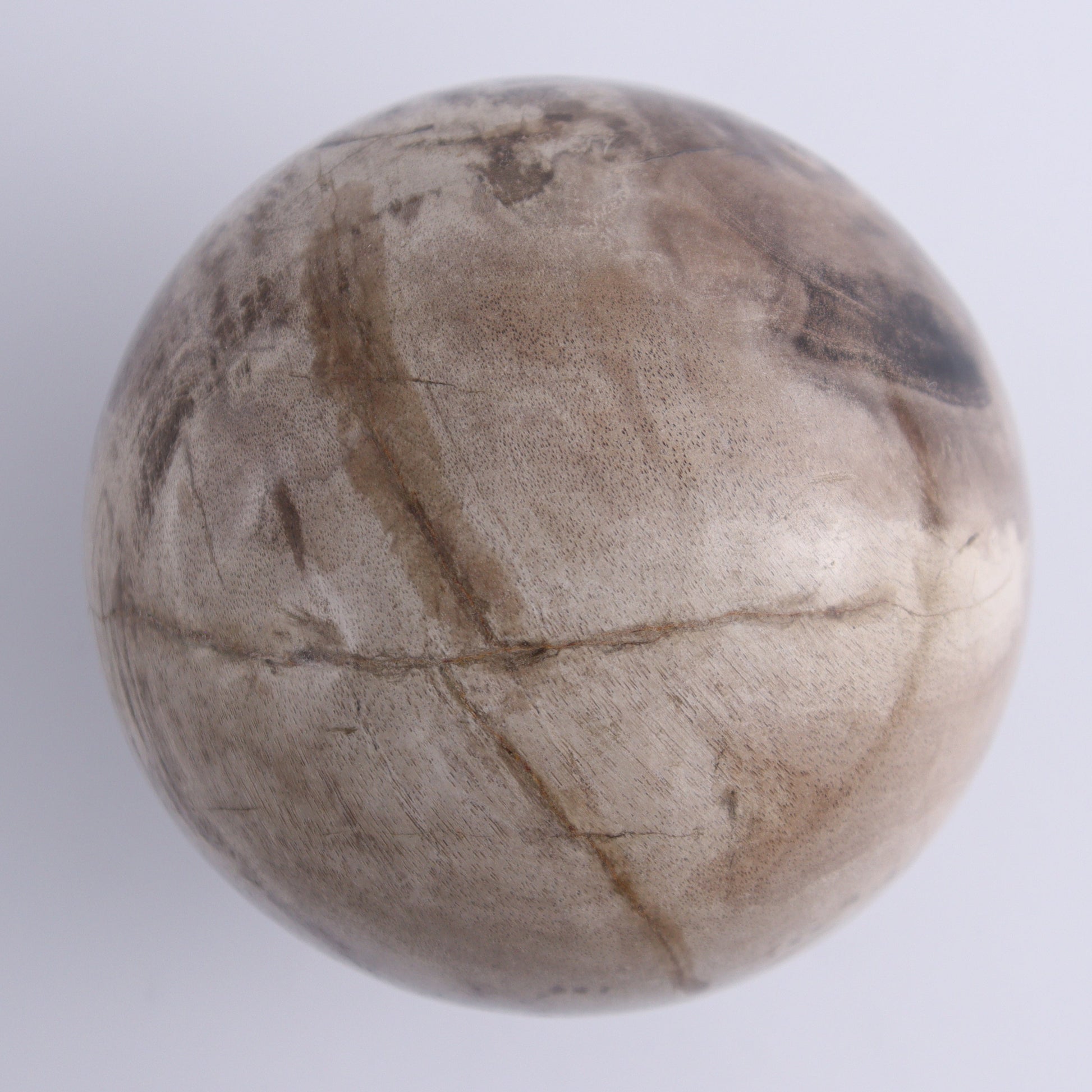 Petrified Wood Spheres Set of 3 - Expert Wholesale and Supplier of Wholesale Crystals & Bulk Gemstones, ["Indonesia","Petrified Wood","Spheres"]