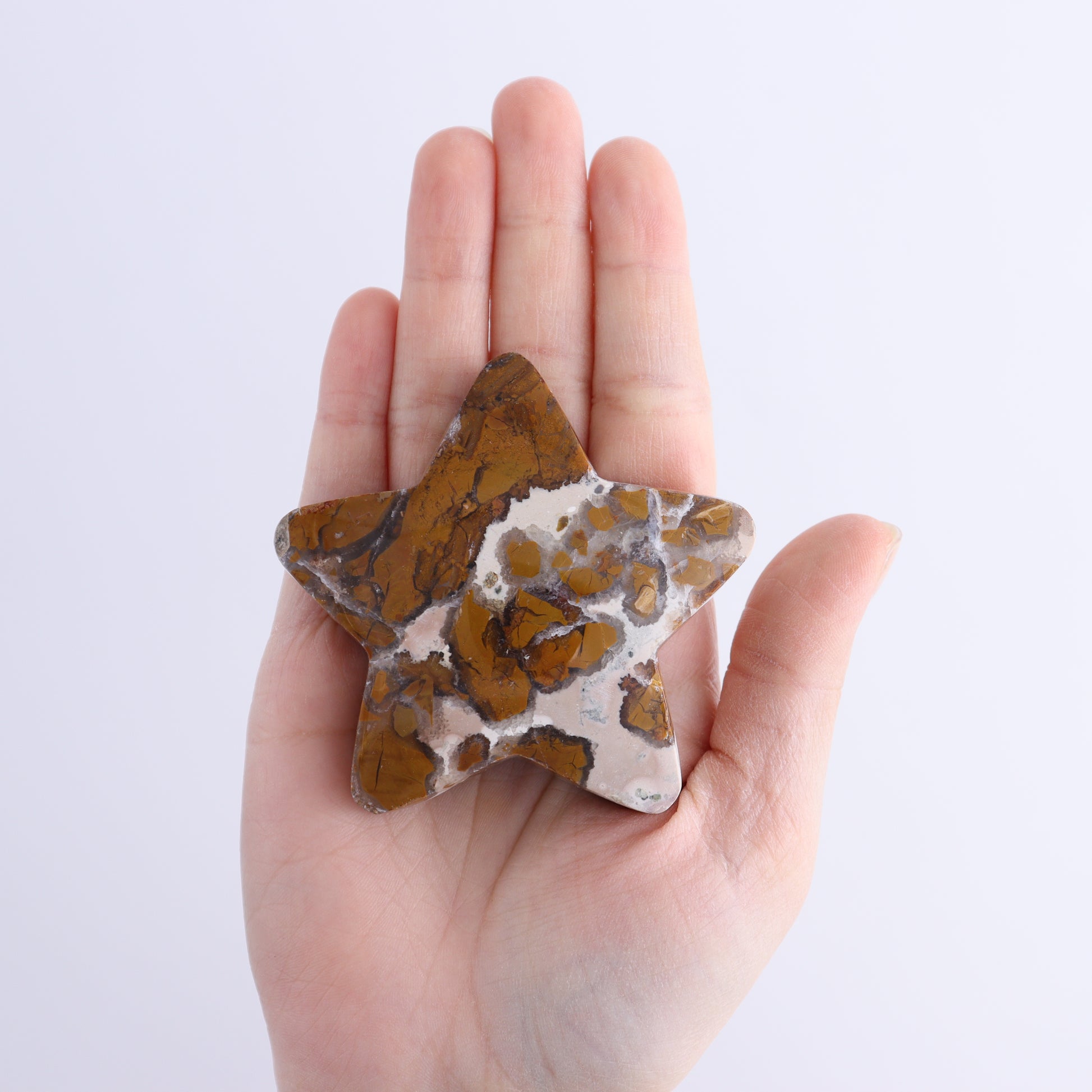 Brecciated Jasper Stars Set of 11 - Expert Wholesale and Supplier of Wholesale Crystals & Bulk Gemstones, ["Brecciated Jasper","Indonesia","stars"]