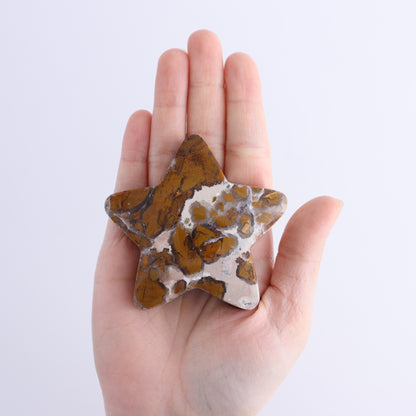 Brecciated Jasper Stars Set of 11 - Expert Wholesale and Supplier of Wholesale Crystals & Bulk Gemstones, ["Brecciated Jasper","Indonesia","stars"]