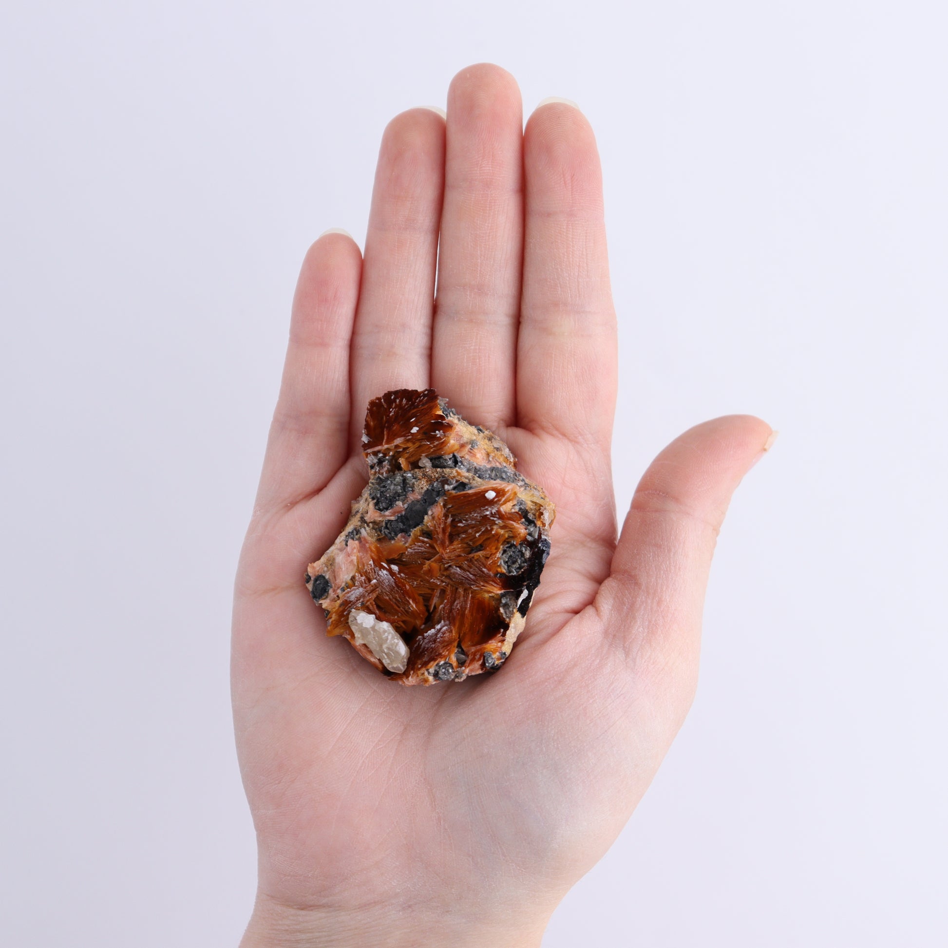 Cerussite Barite from Morocco Flat - Expert Wholesale and Supplier of Wholesale Crystals & Bulk Gemstones, ["Cerussite Barite","close_70","Flats","Morocco"]