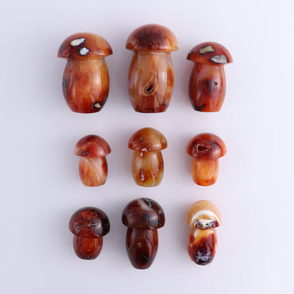 Carnelian Mushrooms Set of 9 - Expert Wholesale and Supplier of Wholesale Crystals & Bulk Gemstones, ["carnelian","Madagascar","Mushrooms"]