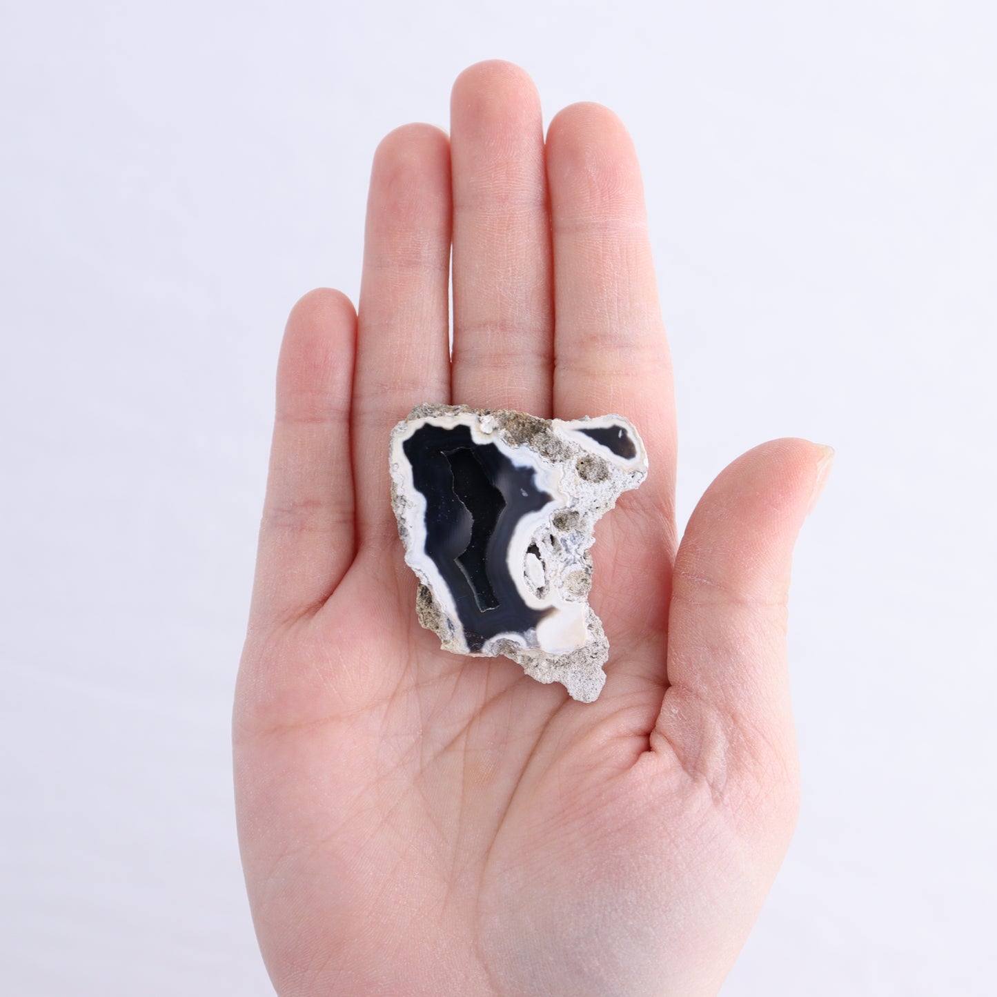Agatized Coral Flat - Expert Wholesale and Supplier of Wholesale Crystals & Bulk Gemstones, ["Agate","Agatized Coral","Coral","United States"]