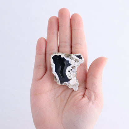 Agatized Coral Flat - Expert Wholesale and Supplier of Wholesale Crystals & Bulk Gemstones, ["Agate","Agatized Coral","Coral","United States"]