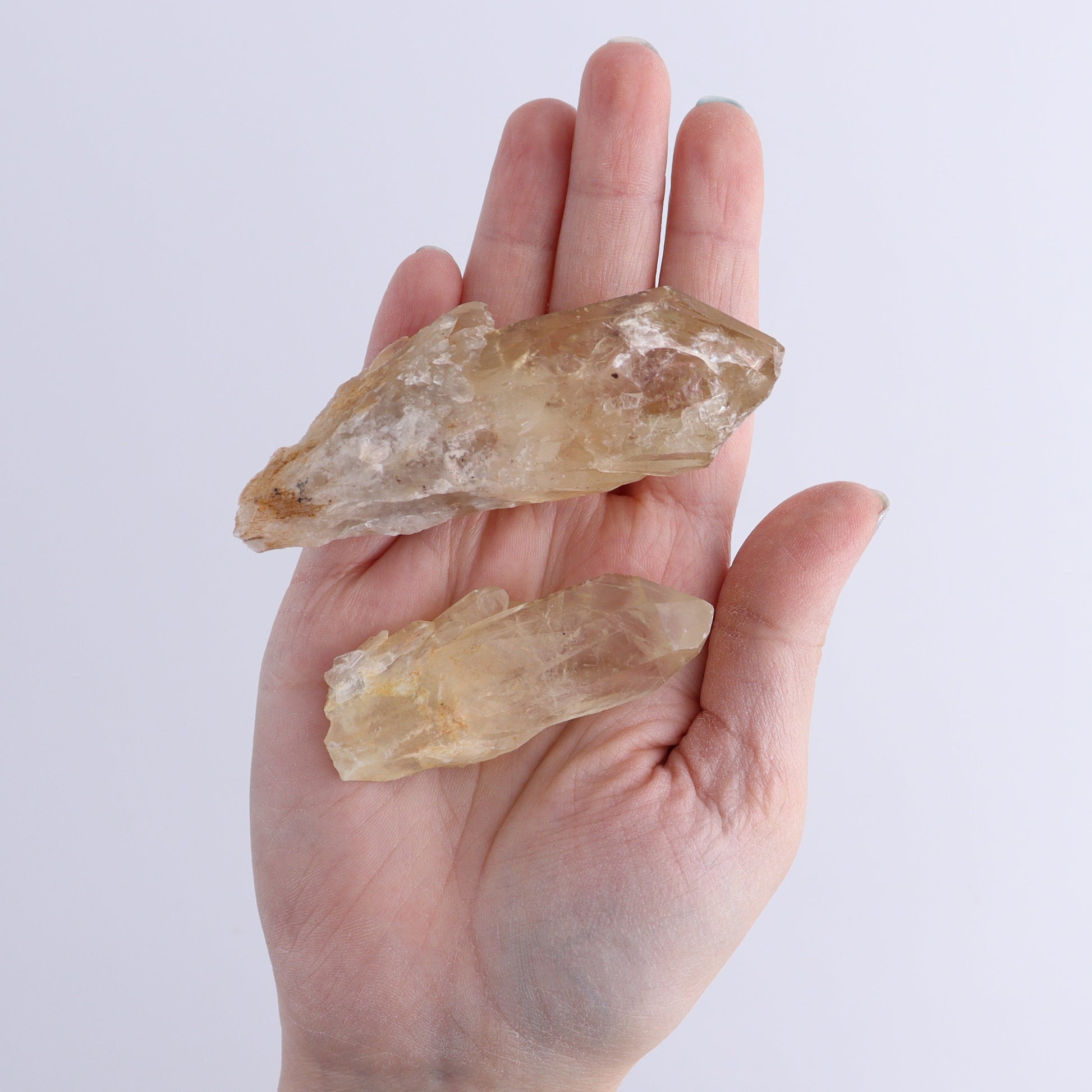 Congo Citrine Set of 12 - Expert Wholesale and Supplier of Wholesale Crystals & Bulk Gemstones, ["Citrine","Congo","Rough","Roughs"]