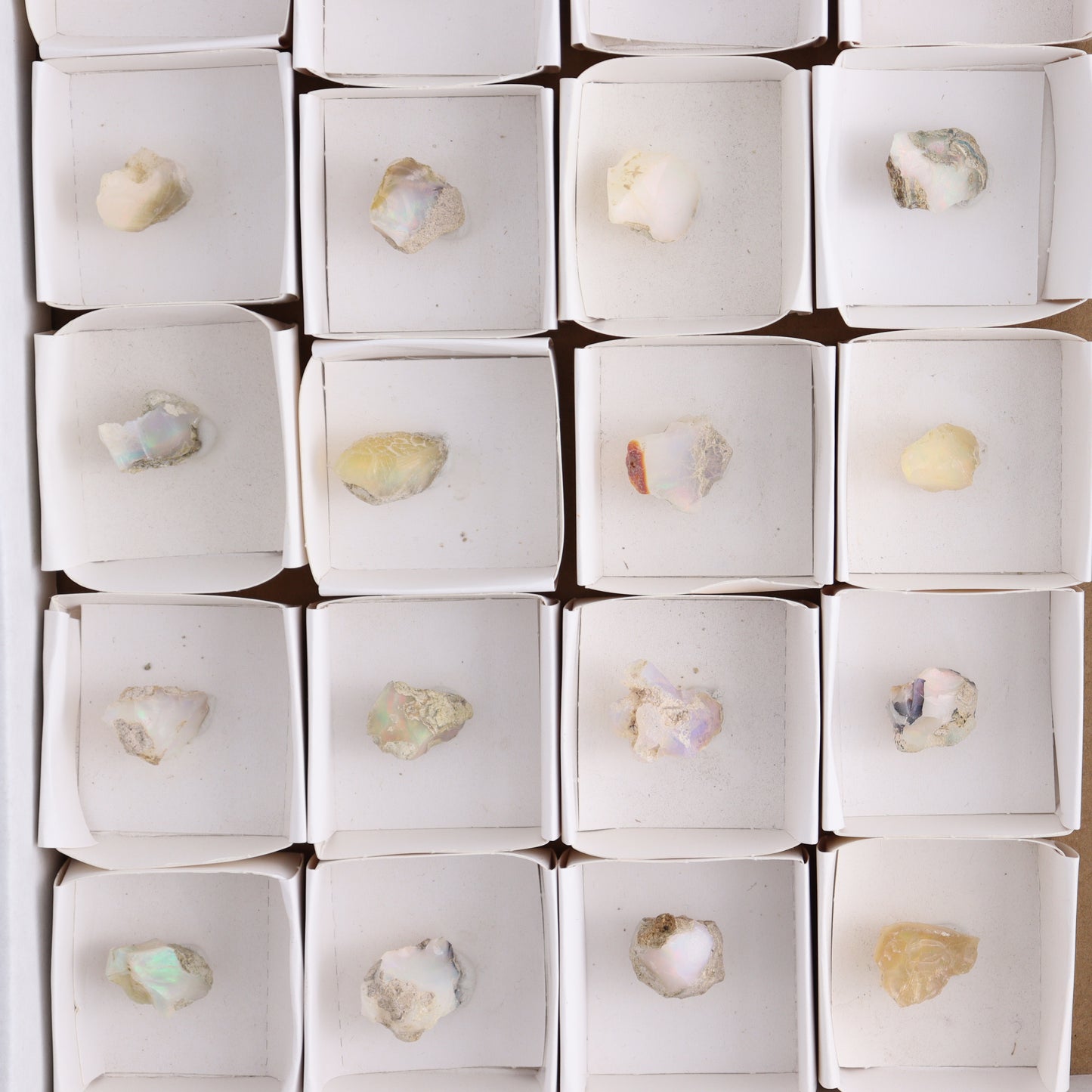 Ethiopian Opal Set of 24 - Expert Wholesale and Supplier of Wholesale Crystals & Bulk Gemstones, ["Ethiopia","ethiopian opal","Opal"]
