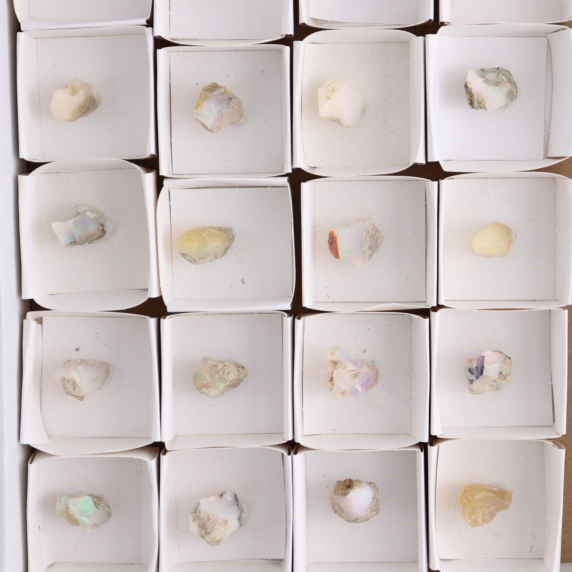 Ethiopian Opal Set of 24 - Expert Wholesale and Supplier of Wholesale Crystals & Bulk Gemstones, ["Ethiopia","ethiopian opal","Opal"]