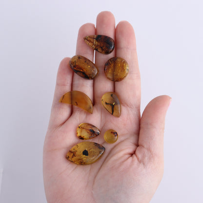 Chiapas Mexico Amber Cabs Set of 8 - Expert Wholesale and Supplier of Wholesale Crystals & Bulk Gemstones, ["Amber","Cabs","Chiapas Amber","Mexico"]