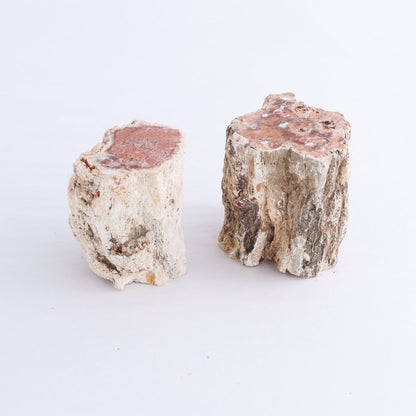 Petrified Wood Cut Bases Set of 10 - Expert Wholesale and Supplier of Wholesale Crystals & Bulk Gemstones, ["Cut Base","Petrified Wood"]