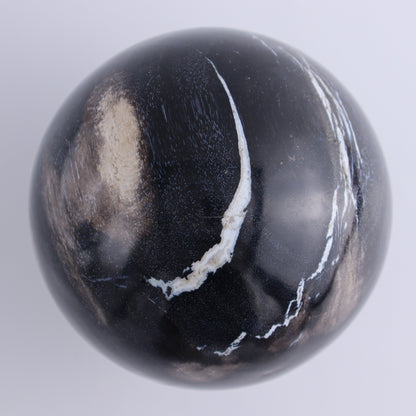 Petrified Wood Spheres Set of 3 - Expert Wholesale and Supplier of Wholesale Crystals & Bulk Gemstones, ["Indonesia","Petrified Wood","Spheres"]
