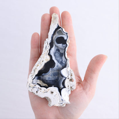 Agatized Coral Flat - Expert Wholesale and Supplier of Wholesale Crystals & Bulk Gemstones, ["Agate","Agatized Coral","Coral","United States"]