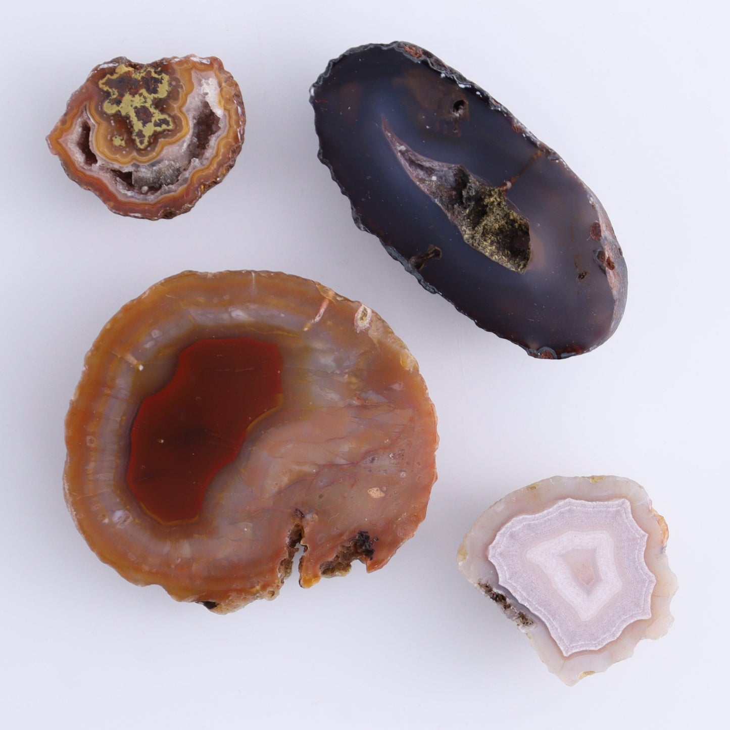 Coyamito Agate Geodes from Mexico Set of 8