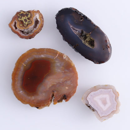 Coyamito Agate Geodes from Mexico Set of 8