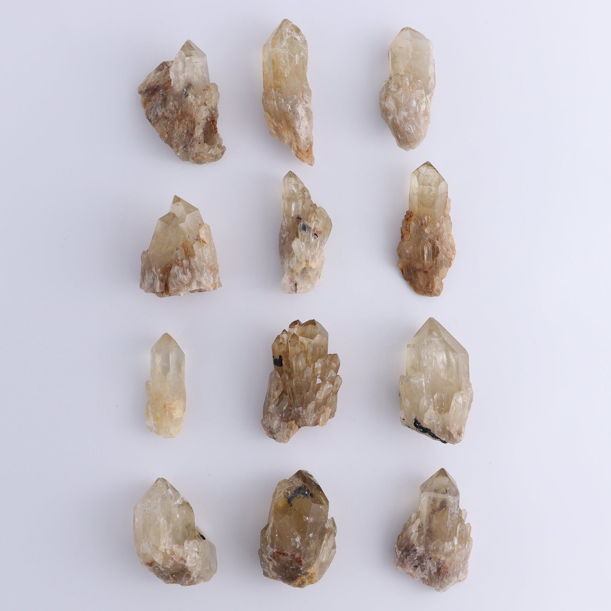 Congo Citrine Set of 12 - Expert Wholesale and Supplier of Wholesale Crystals & Bulk Gemstones, ["Citrine","Congo","Rough","Roughs"]