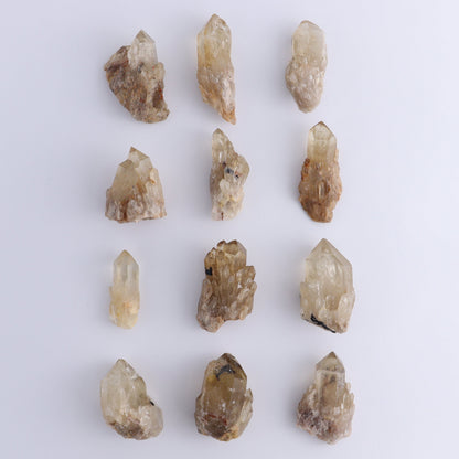Congo Citrine Set of 12 - Expert Wholesale and Supplier of Wholesale Crystals & Bulk Gemstones, ["Citrine","Congo","Rough","Roughs"]