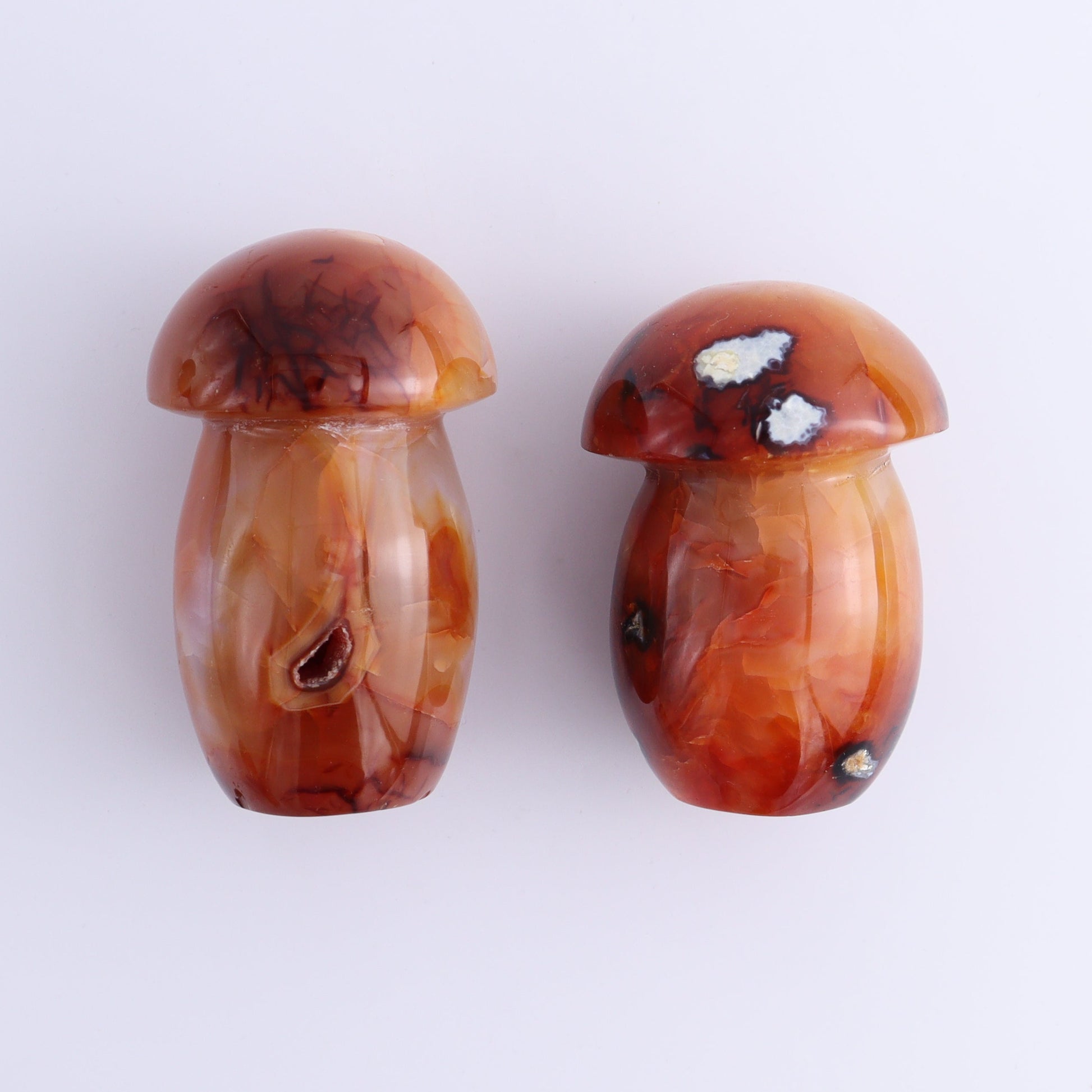 Carnelian Mushrooms Set of 9 - Expert Wholesale and Supplier of Wholesale Crystals & Bulk Gemstones, ["carnelian","Madagascar","Mushrooms"]