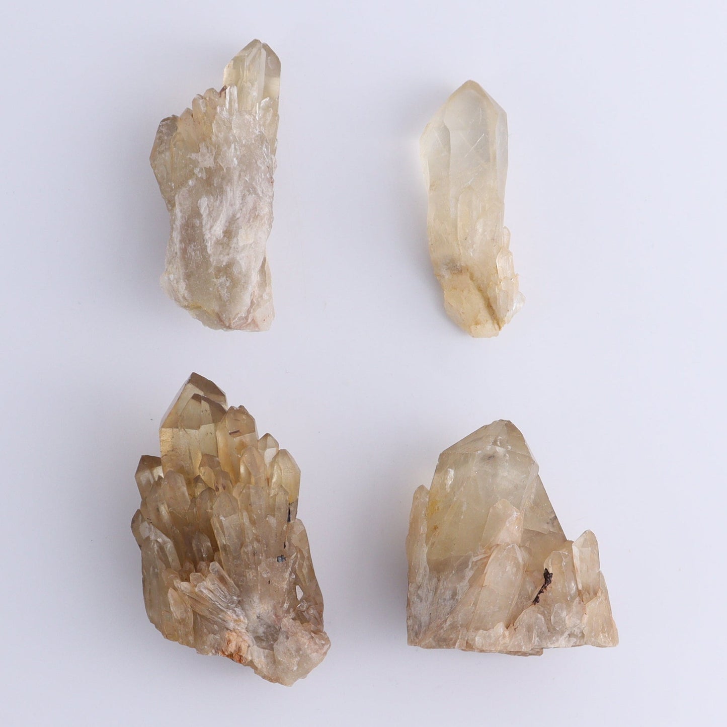 Congo Citrine Set of 12 - Expert Wholesale and Supplier of Wholesale Crystals & Bulk Gemstones, ["Citrine","Congo","Rough","Roughs"]