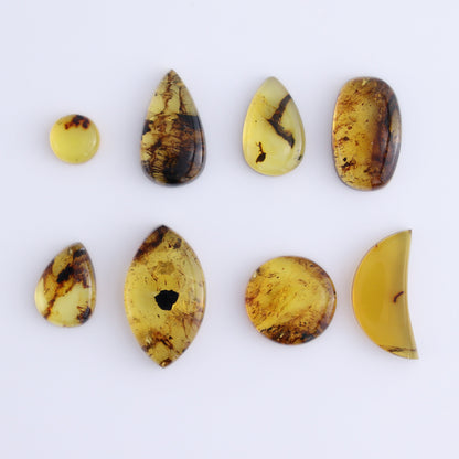 Chiapas Mexico Amber Cabs Set of 8 - Expert Wholesale and Supplier of Wholesale Crystals & Bulk Gemstones, ["Amber","Cabs","Chiapas Amber","Mexico"]